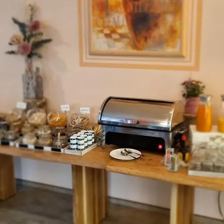 Schober Am Kurpark 酒店 巴特萨尔奇利夫